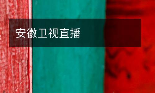 安徽衛(wèi)視直播